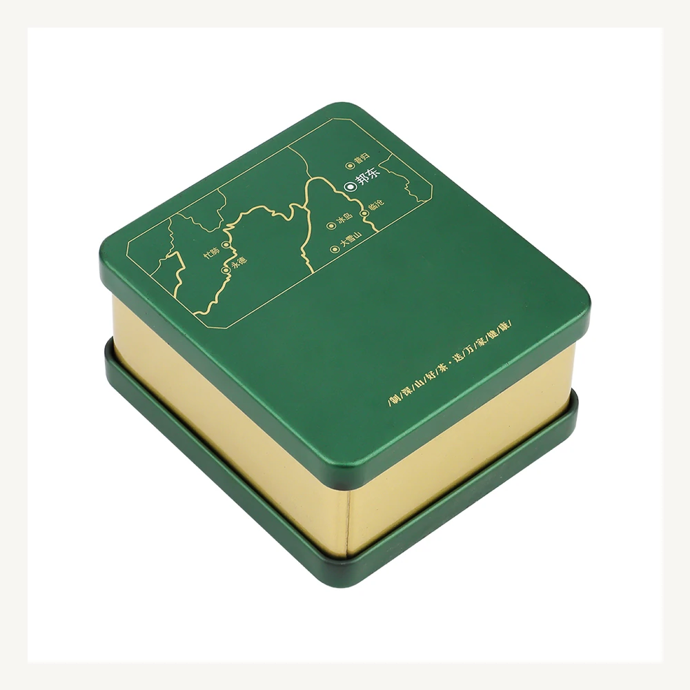 Green Map Square Tea Tin