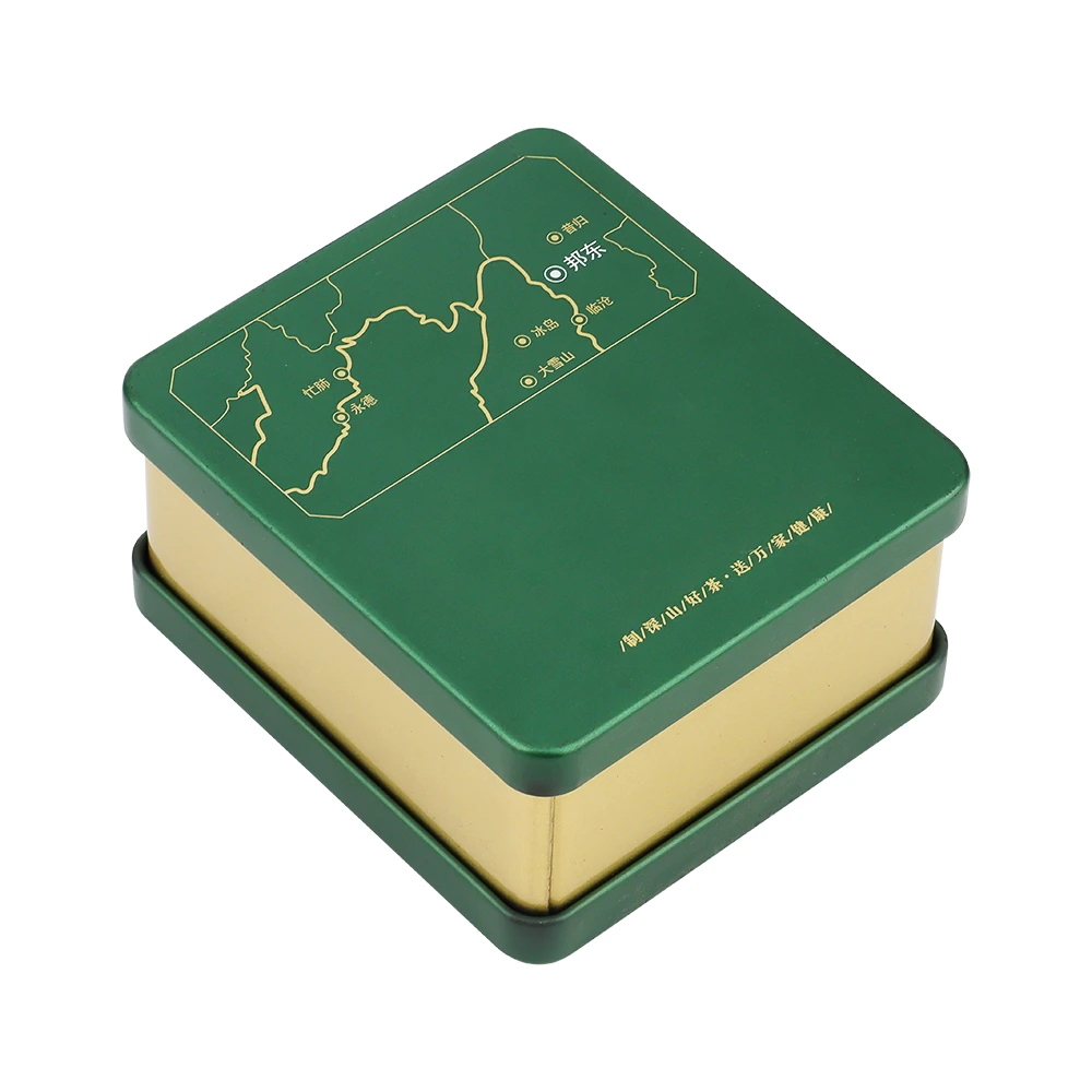 Green Map Square Tea Tin